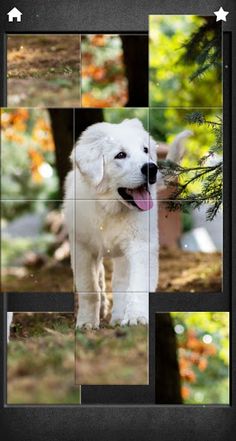 Cute Dogs Jigsaw Puzzles - Screenshot 1