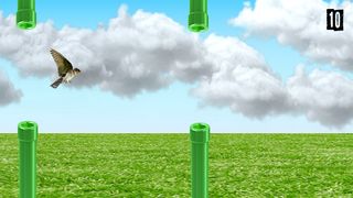 Realistic Flippy the bird hop - Screenshot 3