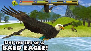 Eagle Simulator - Screenshot 1