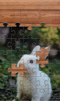 Rabbits Jigsaw Puzzles Games - Screenshot 4