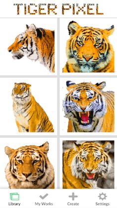 Tiger Lion Pixel Art Coloring - Screenshot 1