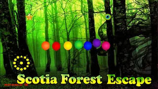 Scotia Forest Escape - Screenshot 1