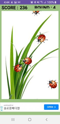 BUG Kill Game(벌레 잡기 게임) - Screenshot 3