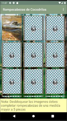 Rompecabezas de Cocodrilos - Screenshot 2
