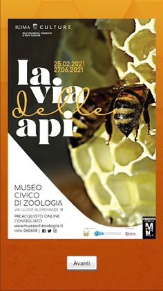 App Agnese - Screenshot 1