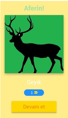 1 Resim 1 Hayvan - Screenshot 2