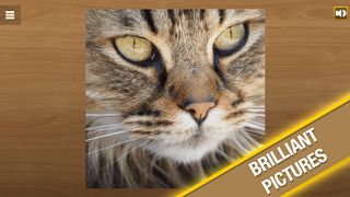 Jigsaw Puzzle - Screenshot 2