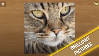 Jigsaw Puzzle - Screenshot 2