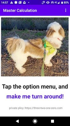 MasterCalculation - Screenshot 1