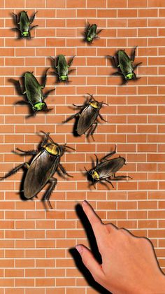 Serbuan Serangga Dan Kecoa - Screenshot 3