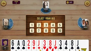 Callbreak Offline : Tash Game - Screenshot 1