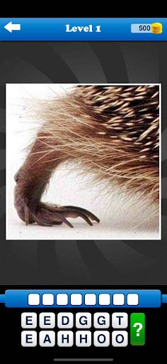 Guess the Close Up Pics Quiz - Screenshot 2