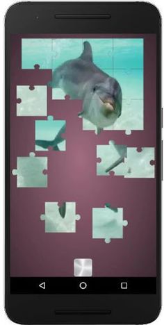 Real Dolphins Game : Jigsaw Pu - Screenshot 4