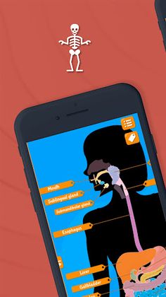 Human Anatomy - Body parts - Screenshot 2