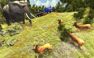 Wildlife Animal Safari 4x4 SUV - Screenshot 2
