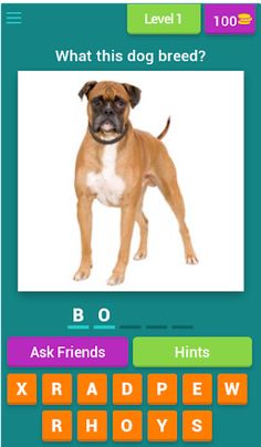Dog Breeds trivia - Screenshot 1