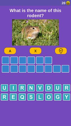 Criss Cross: Quiz game - Screenshot 4