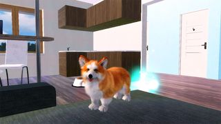 Corgi Dog Simulator - Screenshot 1