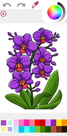 Flowers Adult Coloring Book - Screenshot 3