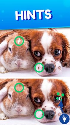 Find the differences 2023 - Screenshot 3