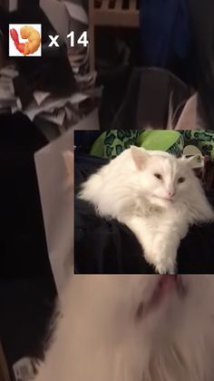 Thurston Waffles: Make Daddy's - Screenshot 4