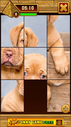 Puzzle Of Animals - Screenshot 3