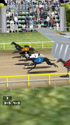 Simple Greyhound Racing - Screenshot 3