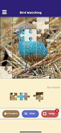 Bird Watching Puzzle - Screenshot 3