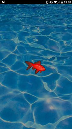 Game for cat | fish - Screenshot 3