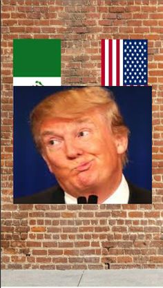 Trump Ninja - Screenshot 3