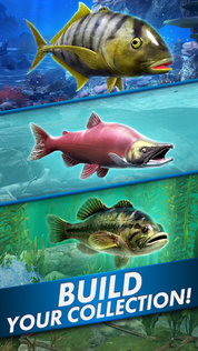 Fishing Blitz! - Screenshot 5