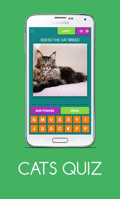CATS QUIZ - Screenshot 3