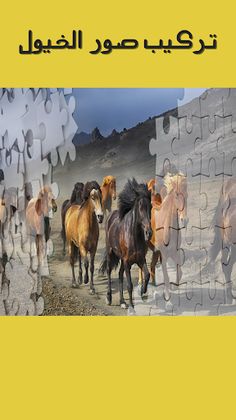 لعبة تركيب صور الخيول - Screenshot 2