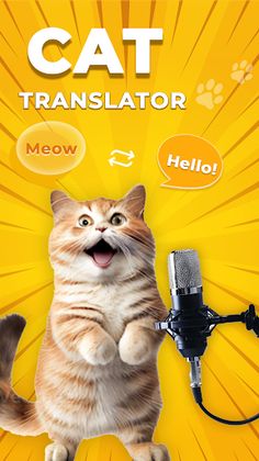 MeowTalk-Cat Translator Prank - Screenshot 2