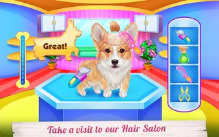 Cute Corgis Caring and Dressup - Screenshot 3