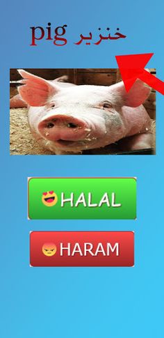 Halal or Haram? - Screenshot 2