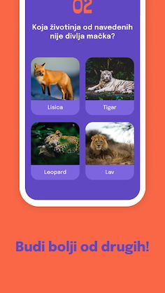 Genijalčići - Screenshot 4