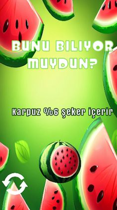 Kelek Karpuz - Screenshot 1