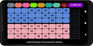 Tambola - Screenshot 2