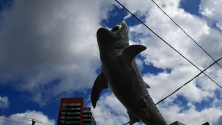 Dino Dan - Dino Cam - Screenshot 3