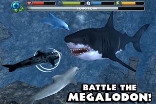 Dolphin Simulator - Screenshot 2