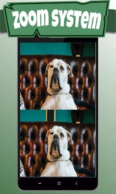 Find the differences 300 level - Screenshot 2