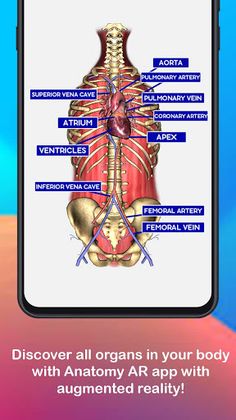 Anatomy AR 4D - Virtual TShirt - Screenshot 1