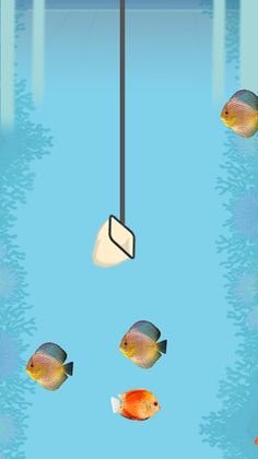 Discus Fish Hunter - Screenshot 3