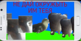 Shoot Duck - Screenshot 1