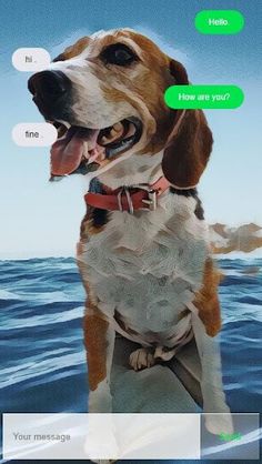 T-Dog - Screenshot 1