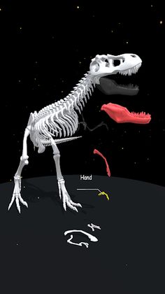 Assemble Skeleton - Screenshot 4