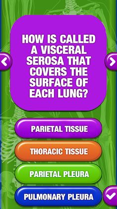 Human Body Anatomy Quiz - Screenshot 3