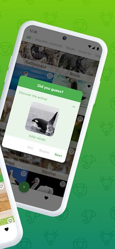 Guess the Animal Sounds - Screenshot 3