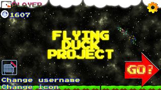 Flying Duck Project - Screenshot 1